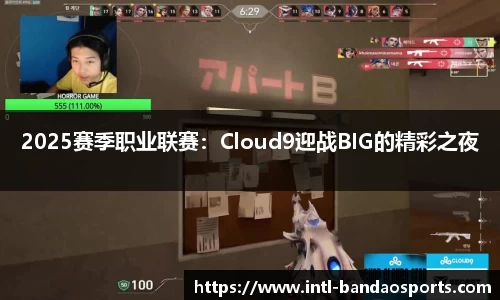 半岛体育