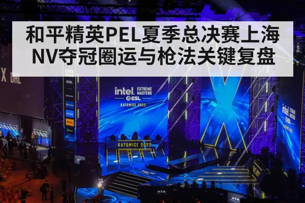 和平精英PEL夏季总决赛上海NV夺冠圈运与枪法关键复盘