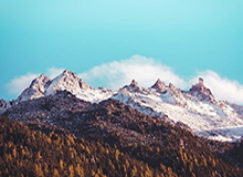 雏鹰起飞前的最后一道难题：约翰·科林斯值顶薪吗？